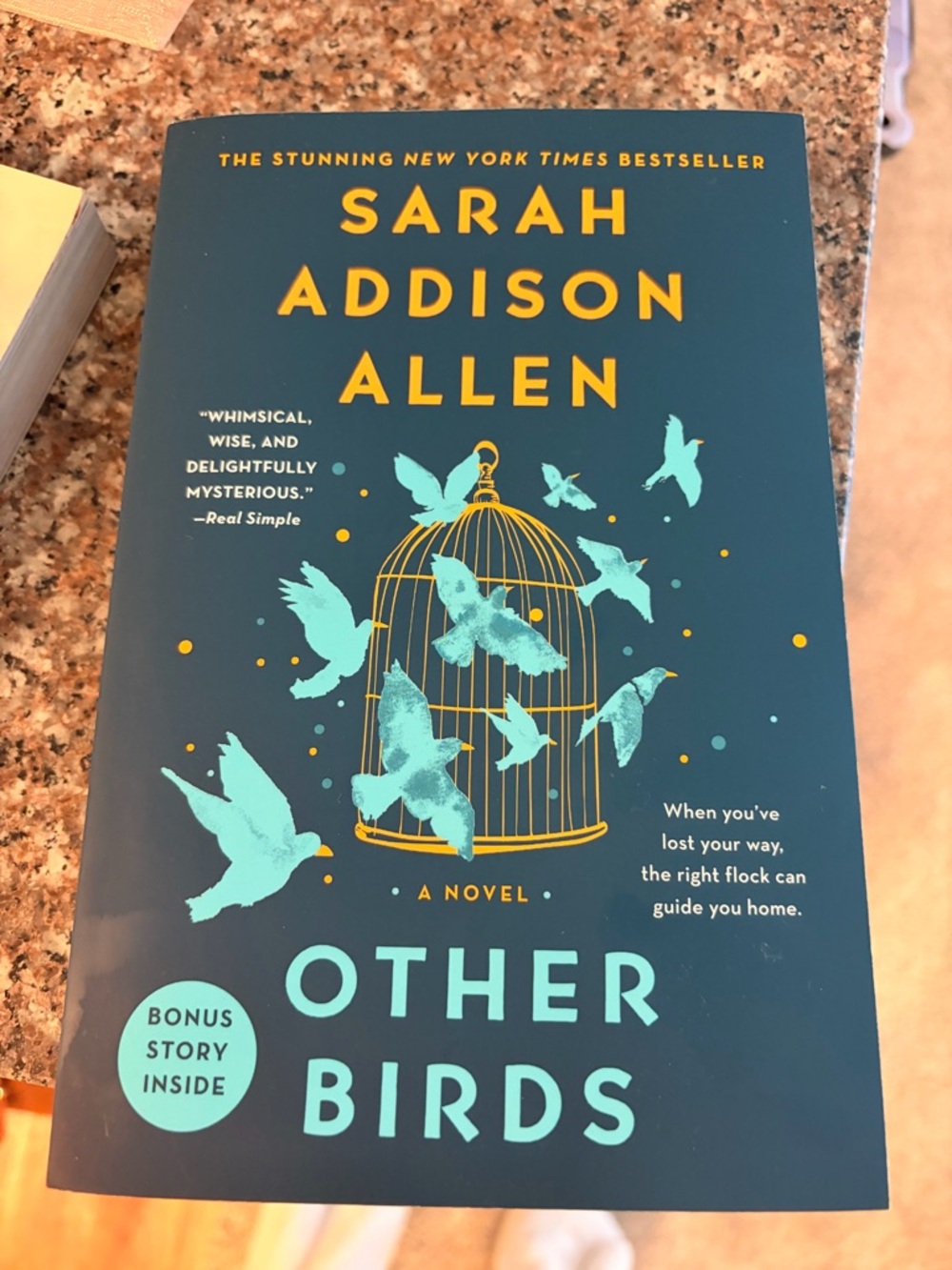 Sarah Addison Allen - Book